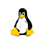 Agent deployment scenarios using mimik AI